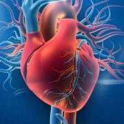 Cardiologists and the Fight Against Heart Disease: What You Need to Know Cardiologists