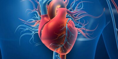 Cardiologists