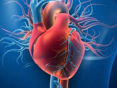 Cardiologists