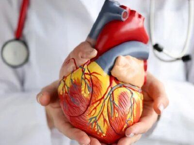 Cardiologists