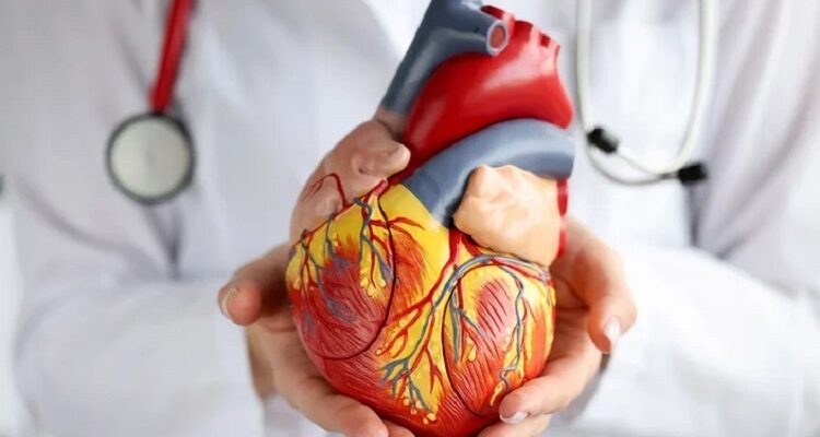 Cardiologists